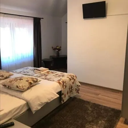 Casa Daniel Soporan Maison d'hôtes Cluj-Napoca